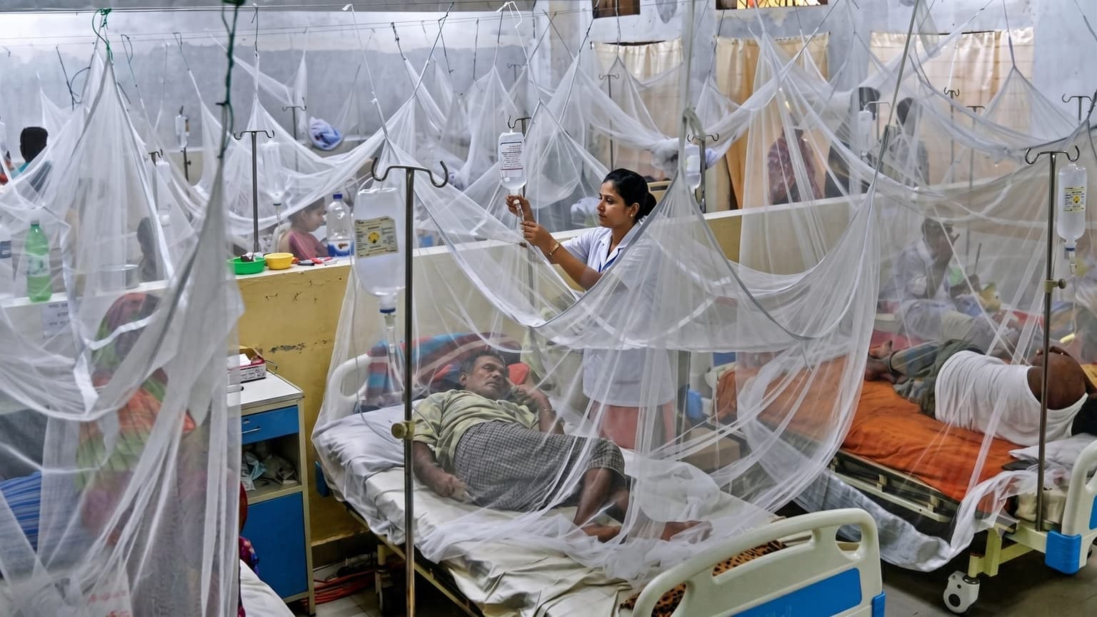 ডেঙ্গুতে ২৪ ঘণ্টায় আরও ২ মৃত্যু, হাসপাতালে ভর্তি ৬৭২