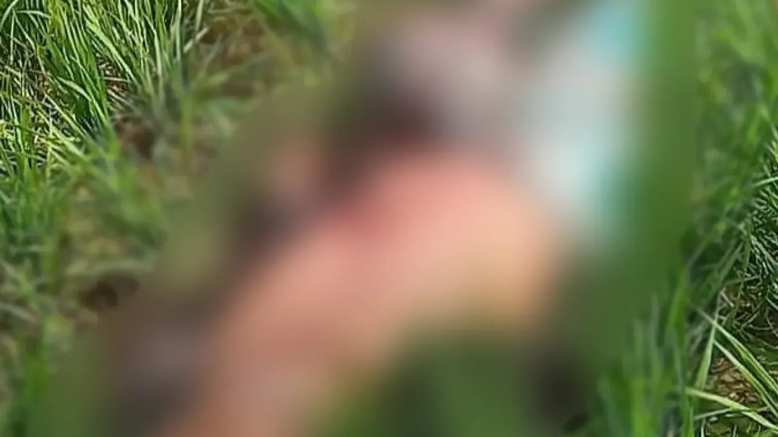 Farmer killed in Jhenaidah clash over land dispute