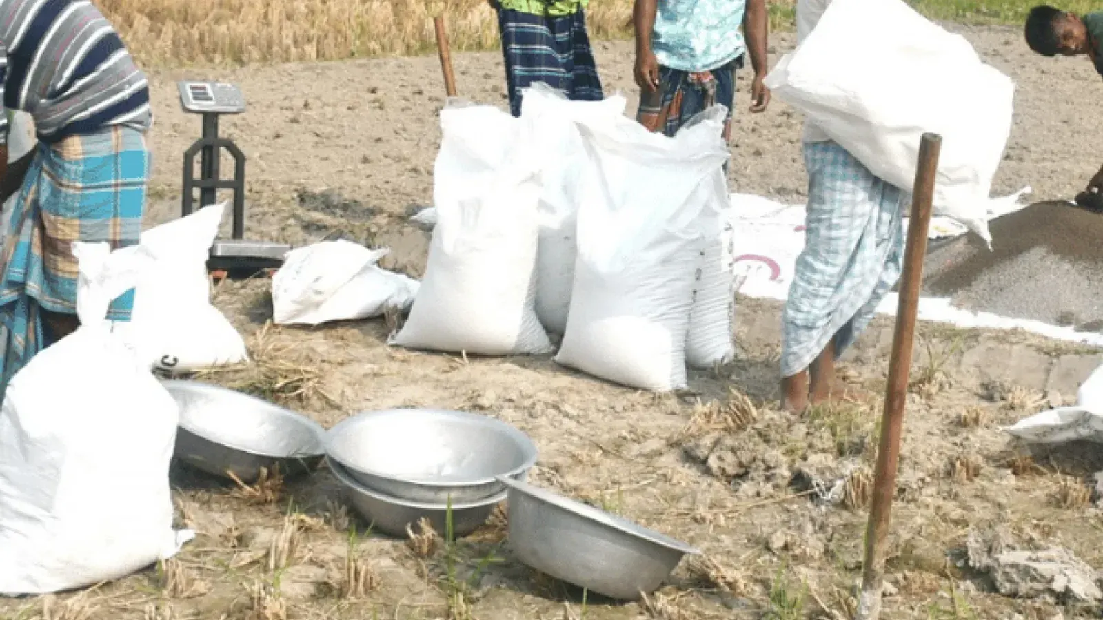 Farmers Face Overcharging for Fertilizers in Khetlal Upazila