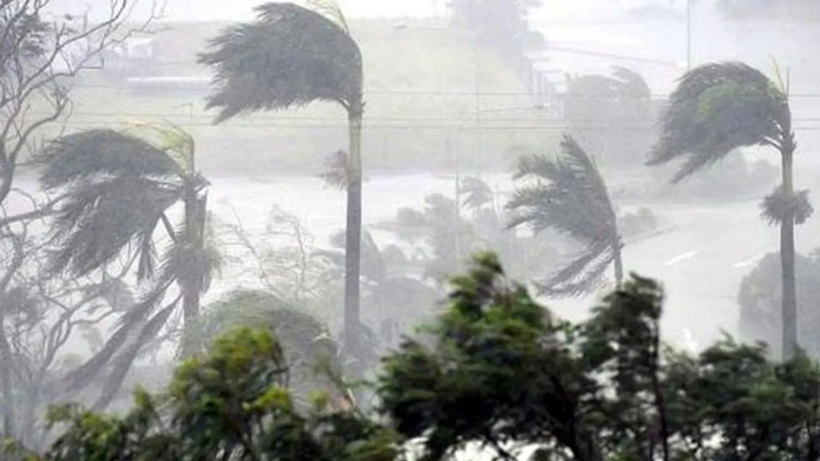 Bangladesh Weather: Gusty Winds and Rain Forecast for Eight Regions