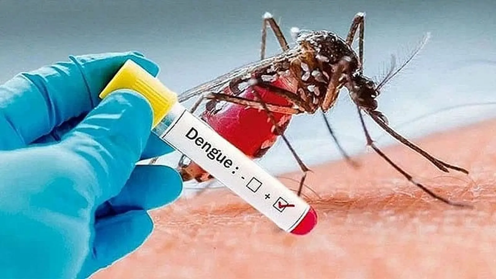 ডেঙ্গুতে আরও ৫ জনের মৃত্যু, নতুন আক্রান্ত ৮৩৯
