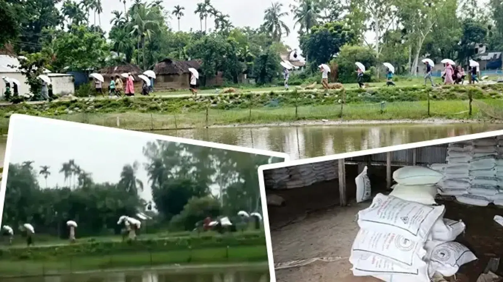 কুড়িগ্রামে সারের গুদাম লুট, দেশজুড়ে চলছে সার সংকট