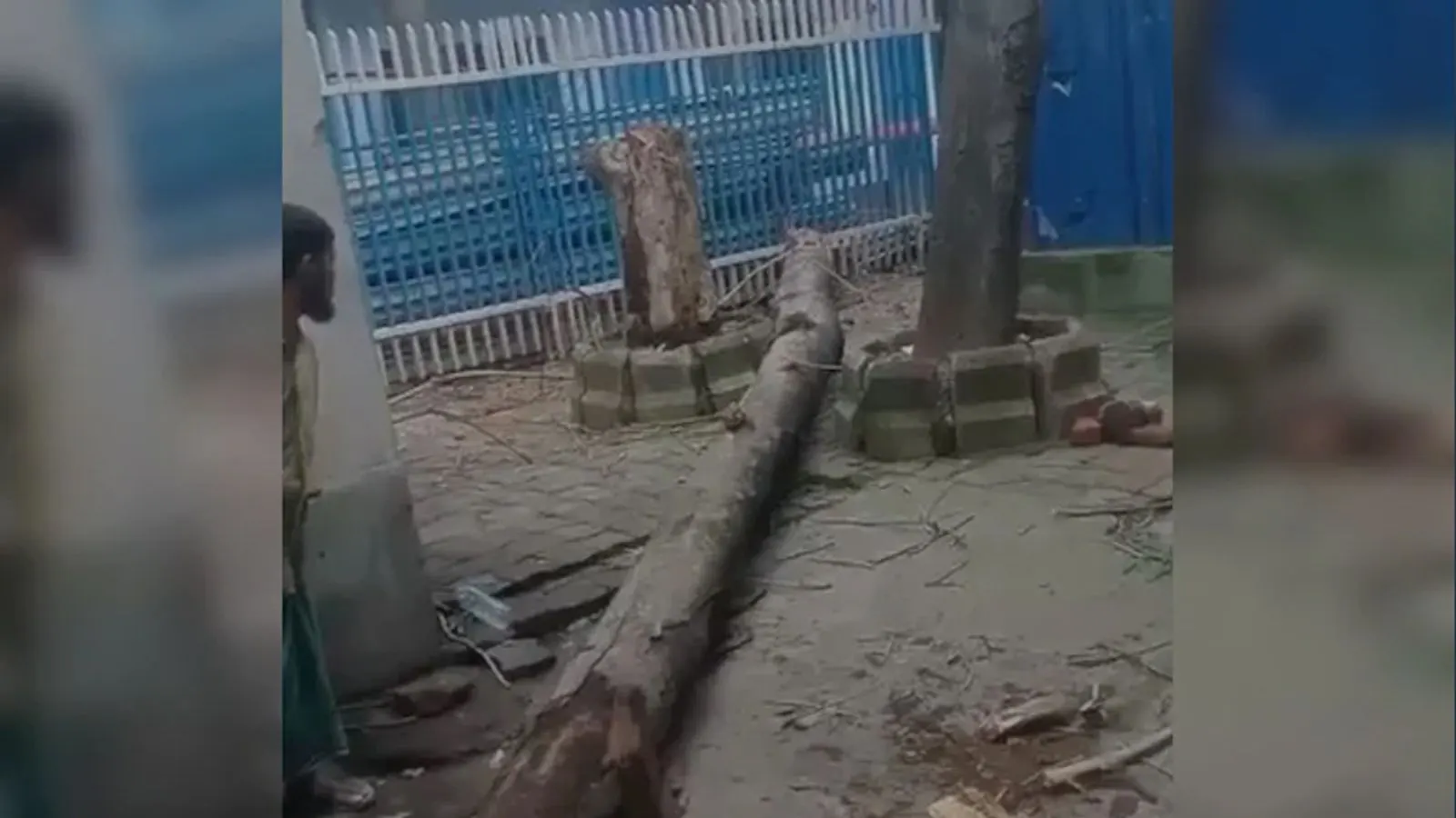 কলকাতার এসএসকেএম হাসপাতালে গাছের ডাল ভেঙে নিহত ১