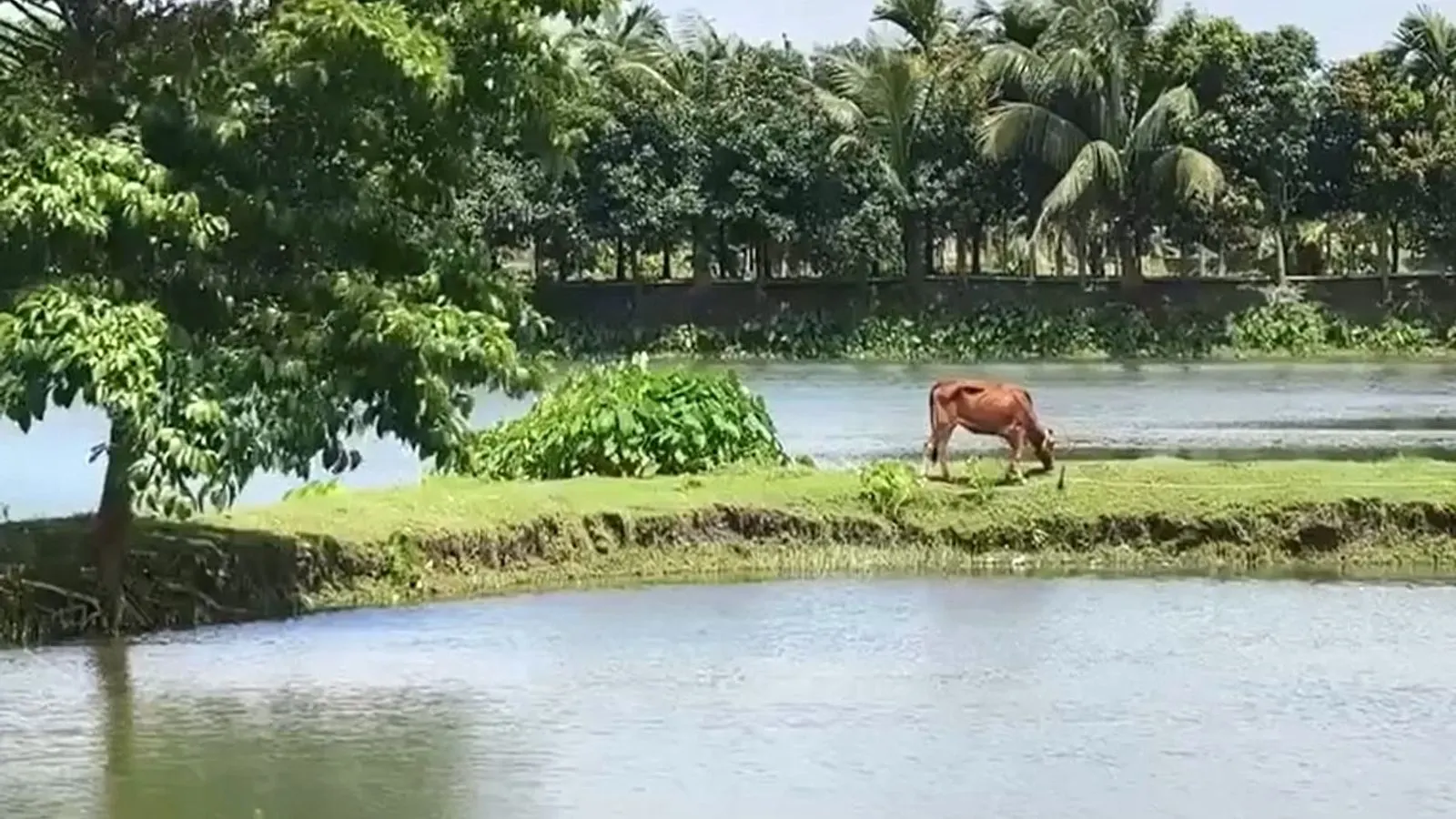 Chandpur Court Appoints Police Receiver Over Tipunagar Land Dispute