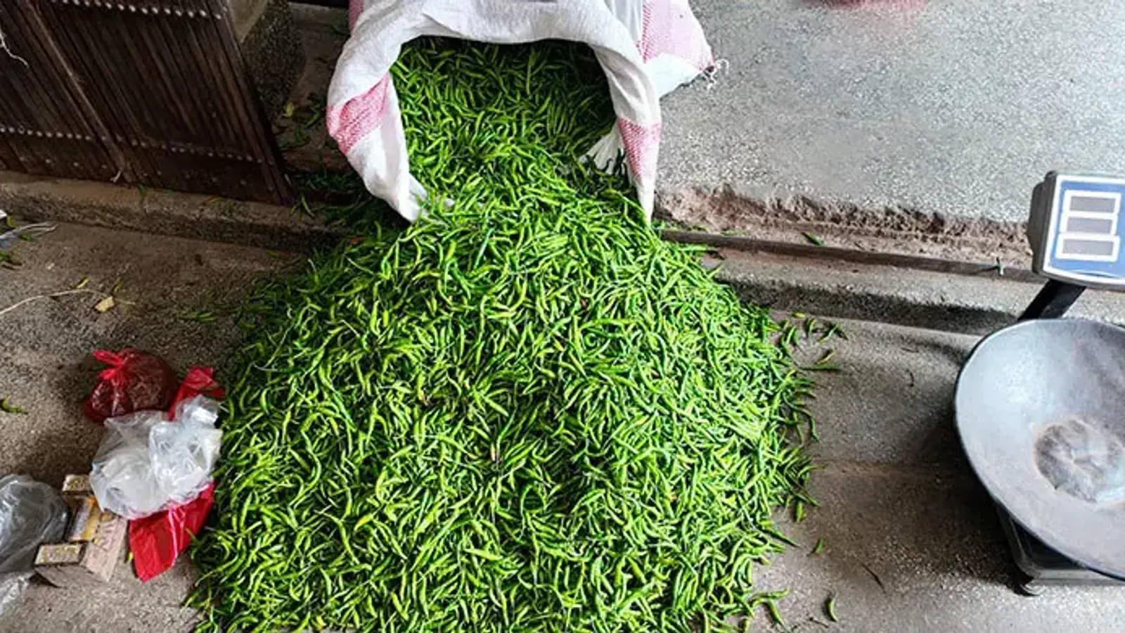 Green Chilli Prices Drop Sharply in Rajshahi Amid Stable Market