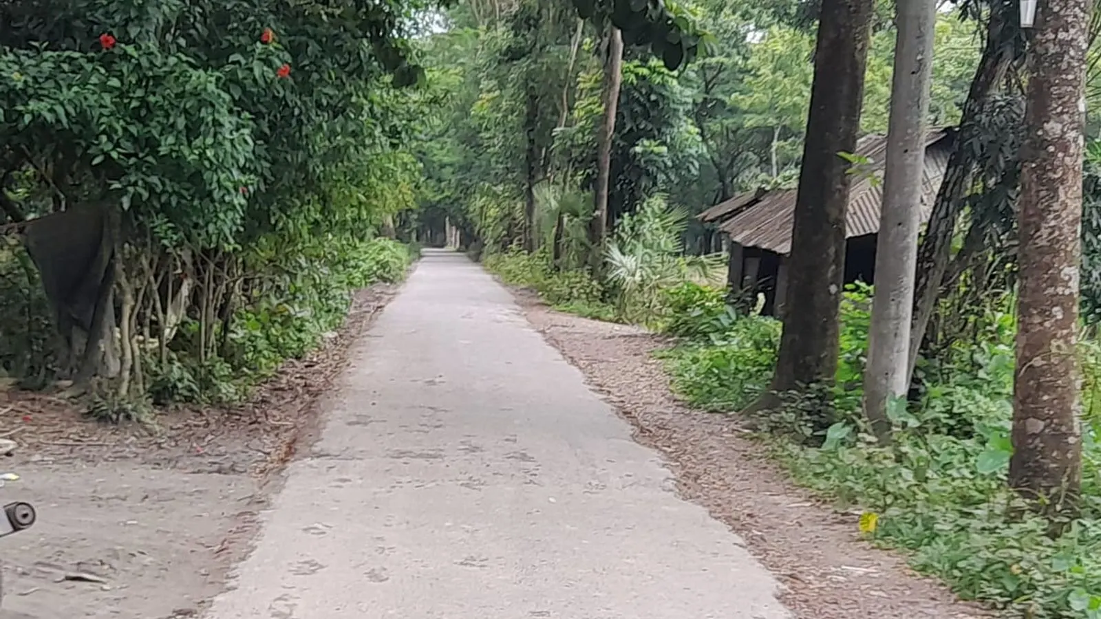 Inside Dhaner Shish: The History of a Noakhali Village