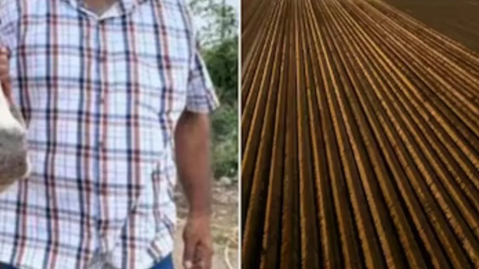 উইপ্রোর চাকরি ছেড়ে কৃষিকাজে এসে তাক লাগালেন শশী কুমার