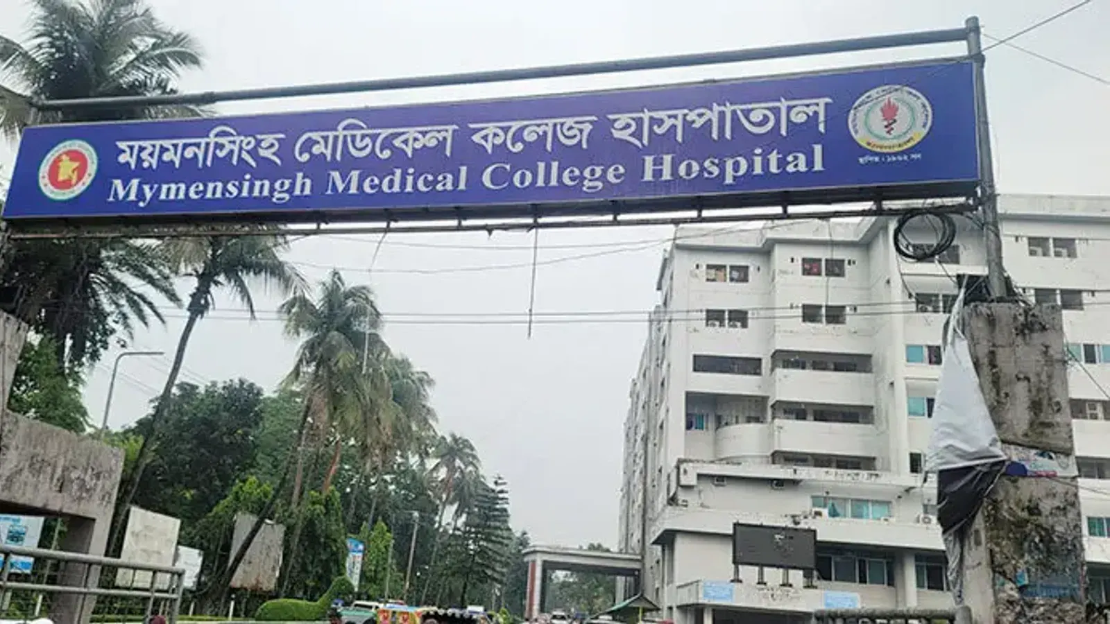 Dengue Claims Life in Mymensingh as Hospital Admissions Surge