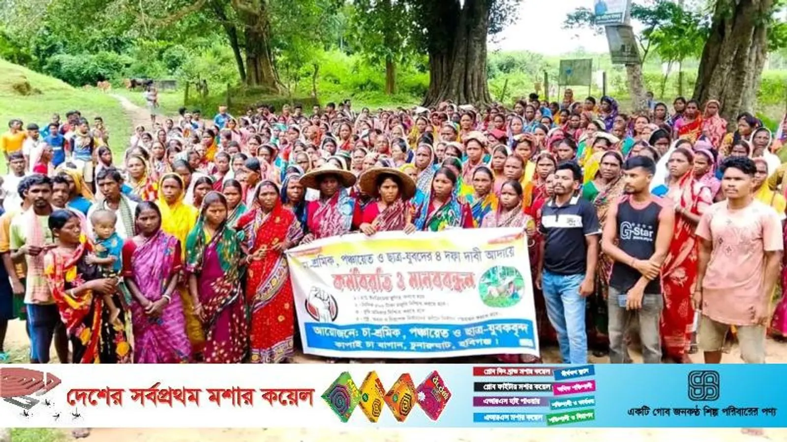 Tea workers in Habiganj strike for Tk 500 daily wage
