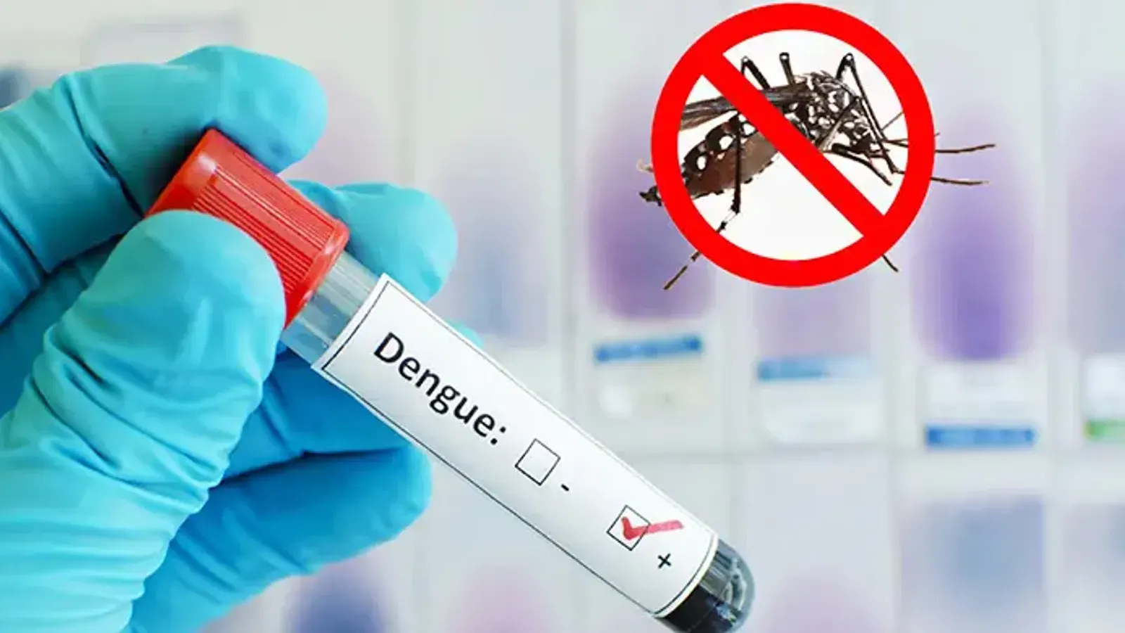 Feni District Sees Surge in Dengue Cases as August Toll Reaches 115