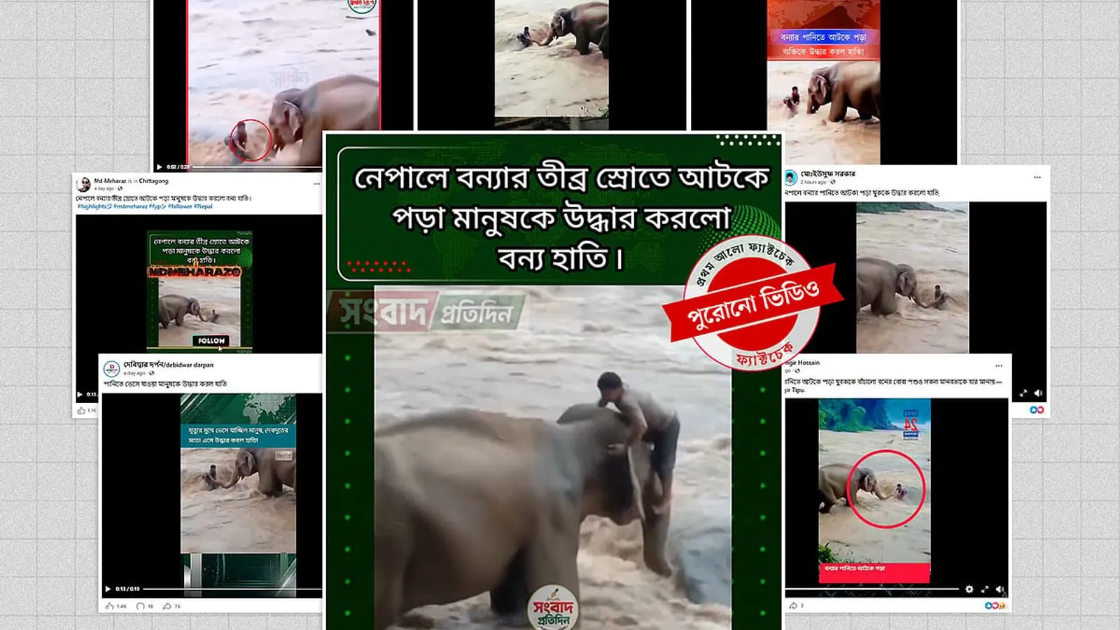 নেপালের বন্যা বলে ছড়ানো হাতি উদ্ধারের ভিডিওটি কি কৃত্রিম?