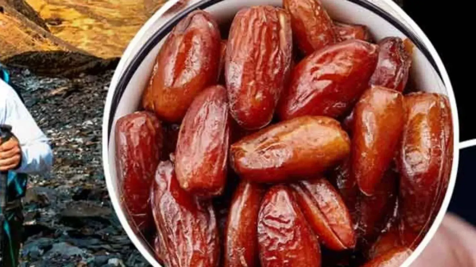 Essential Nutritional Guide for High-Altitude Trekking and Snacking