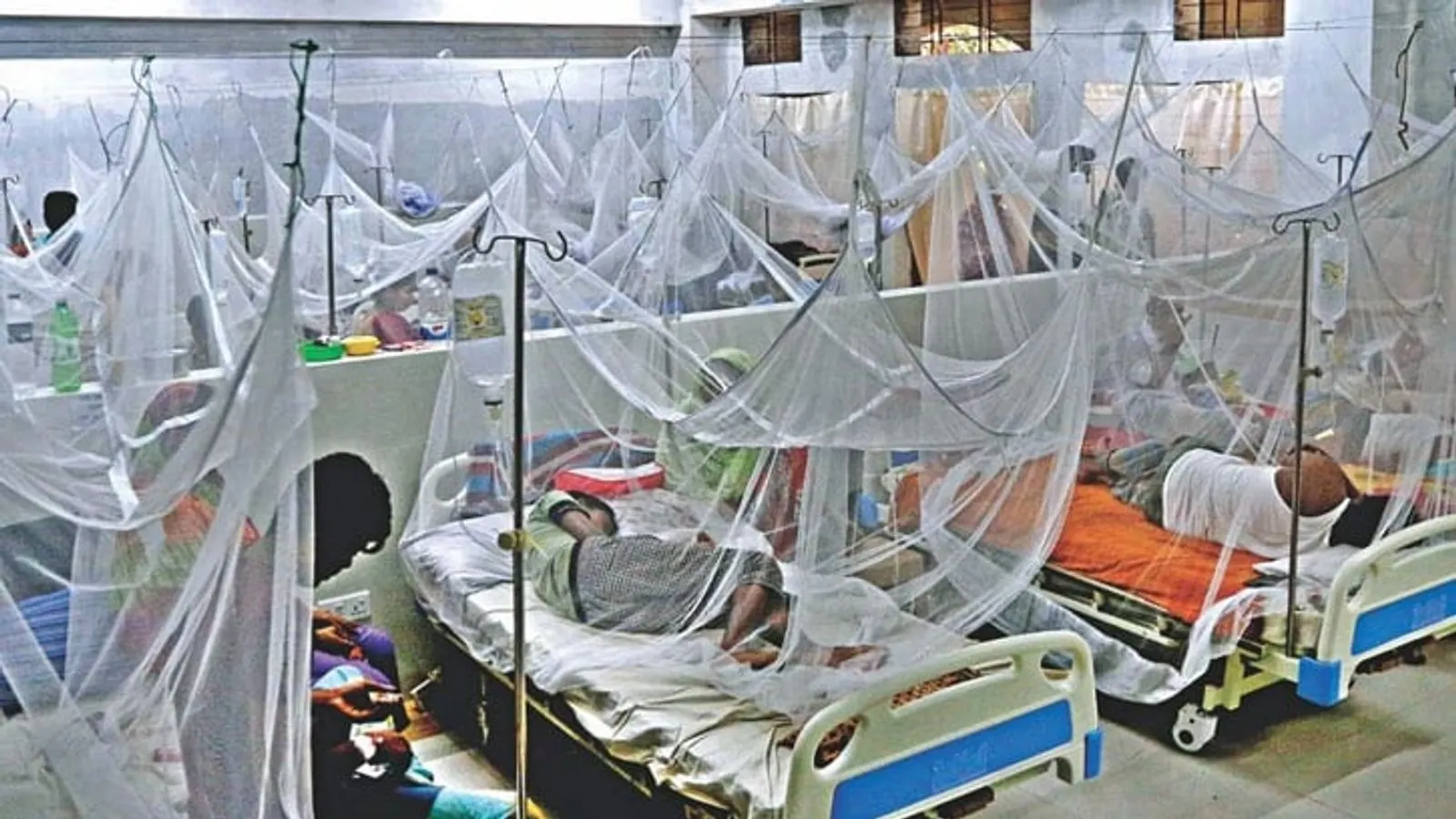 Khulna Division Dengue Cases Reach 5,565 With One New Death