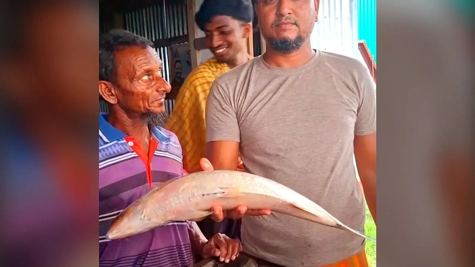 ভোলার মেঘনায় সাড়ে ৩ কেজির দুই ইলিশ, বিক্রি ১৫ হাজারে