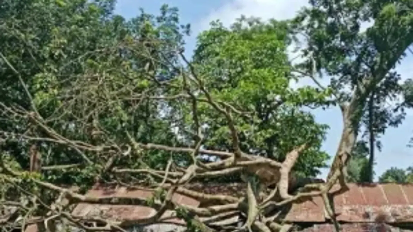 Sadarpur School Left Halved Four Months After Storm Damage
