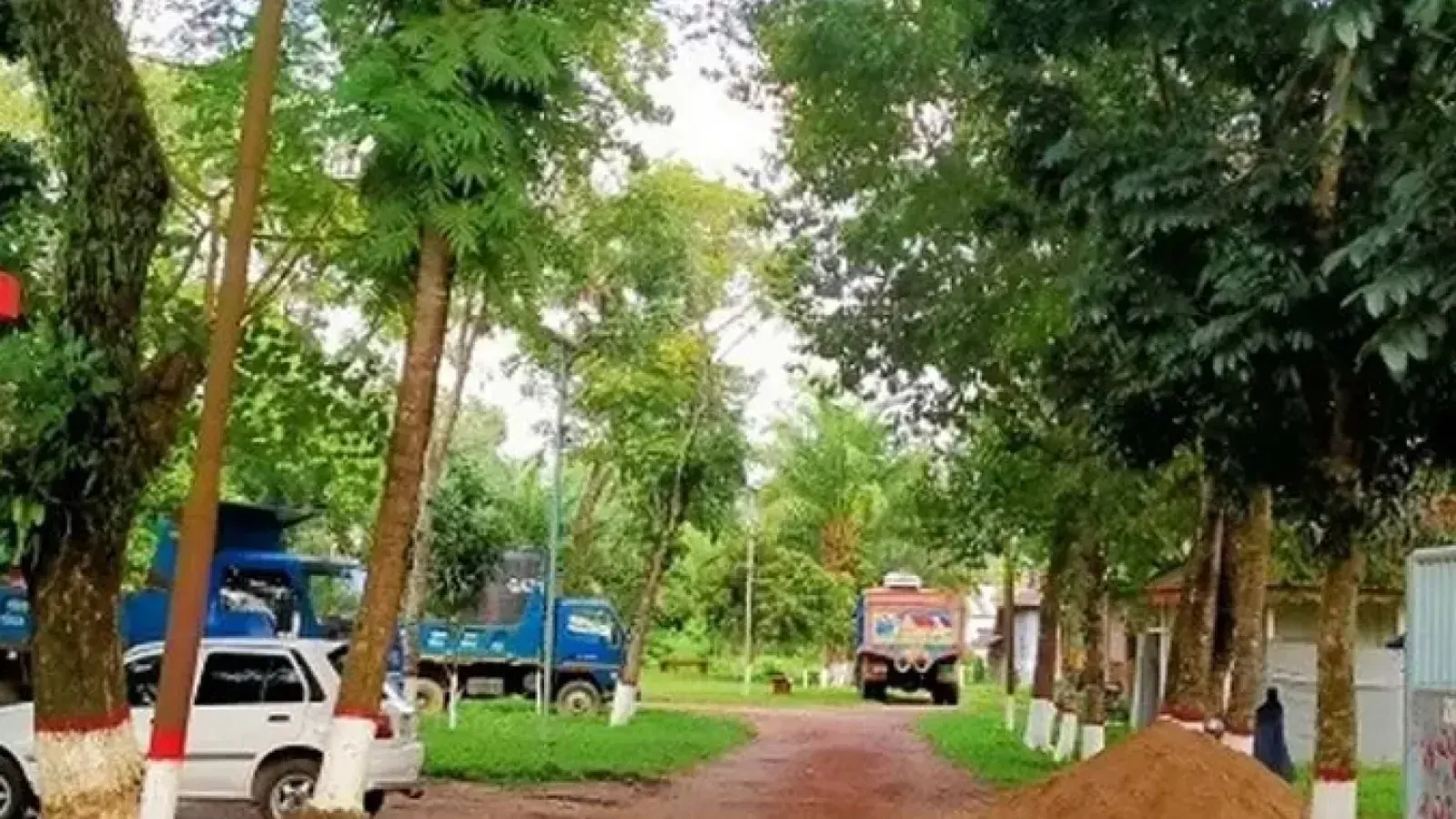 Elderly Woman Dies After Dispute in Mymensingh; Two Detained
