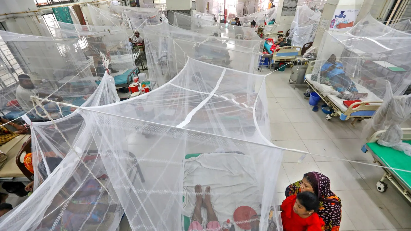 Bangladesh Confronts Growing Dengue Crisis Amid Proposed Management Framework