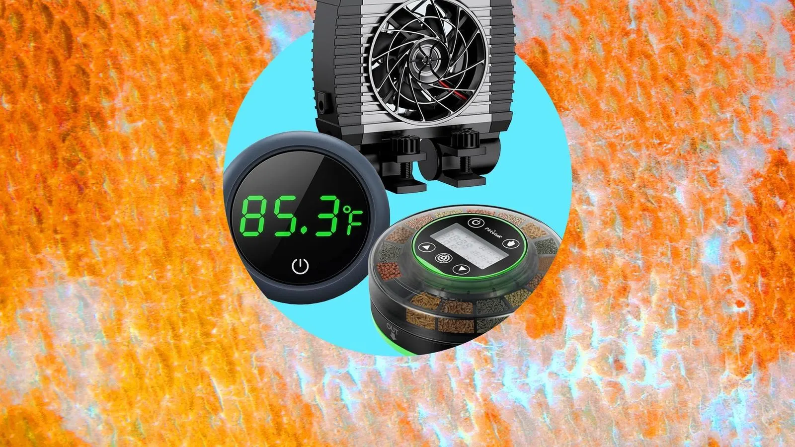 Upgrading a Home Fish Tank Setup With Modern Tech Gadgets