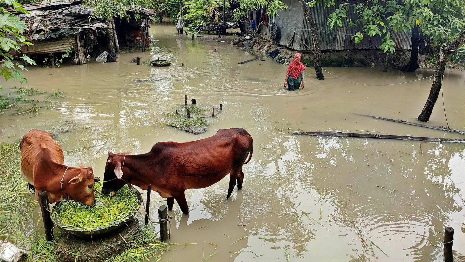 Bangladesh Indigenous Communities Face Severe Water and Sanitation Hurdles