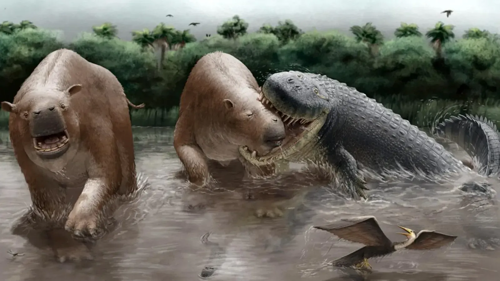 Crocodylians Ruled Miocene South America As Apex Predators