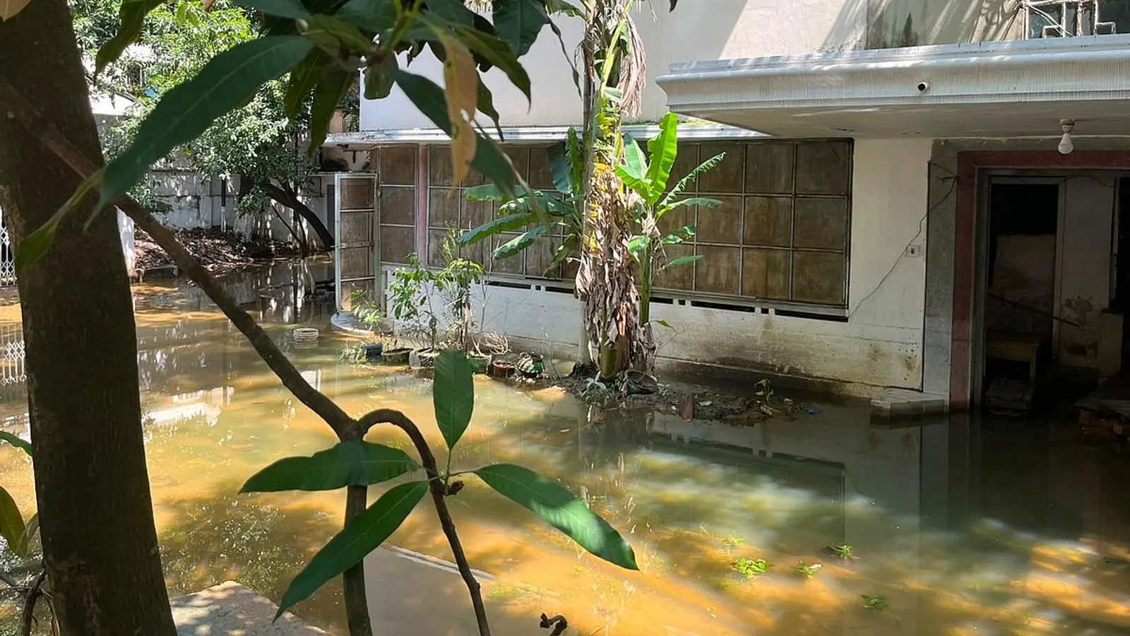 Chittagong Finds Aedes Breeding Sites Including Yunus Home