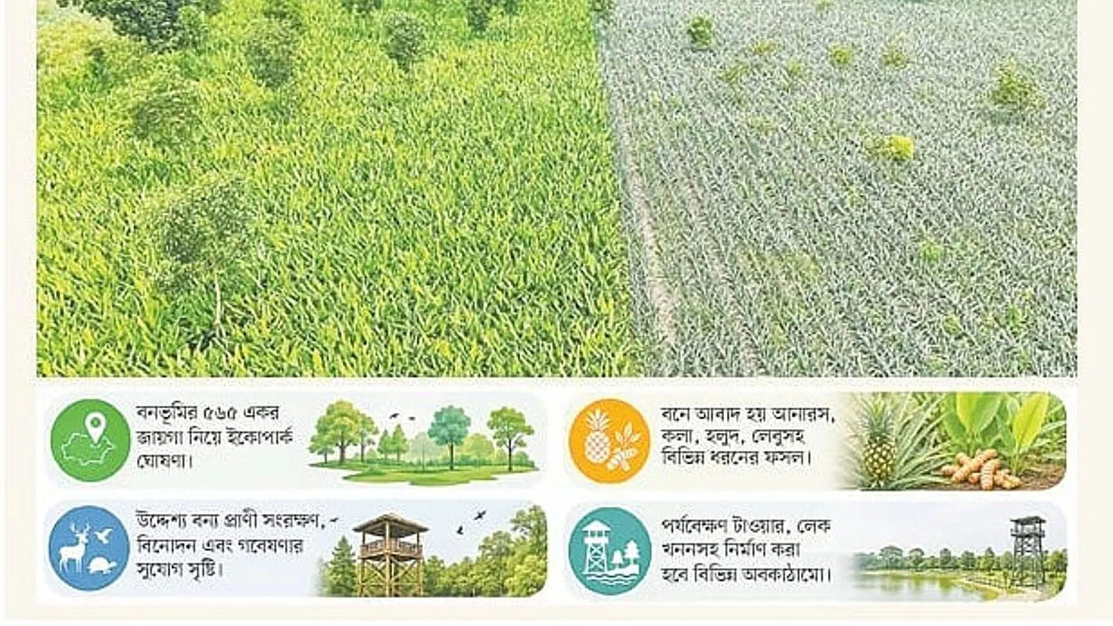 Mymensingh Ecopark Declaration Sparks Eviction Fears Among Locals