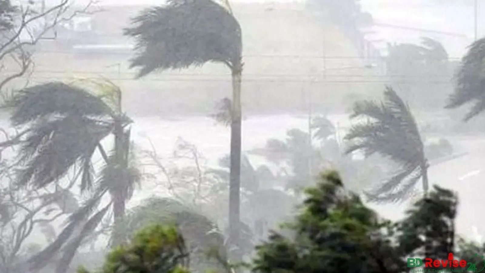 Bangladesh Weather: Rain and Gusty Winds Forecast Across Regions