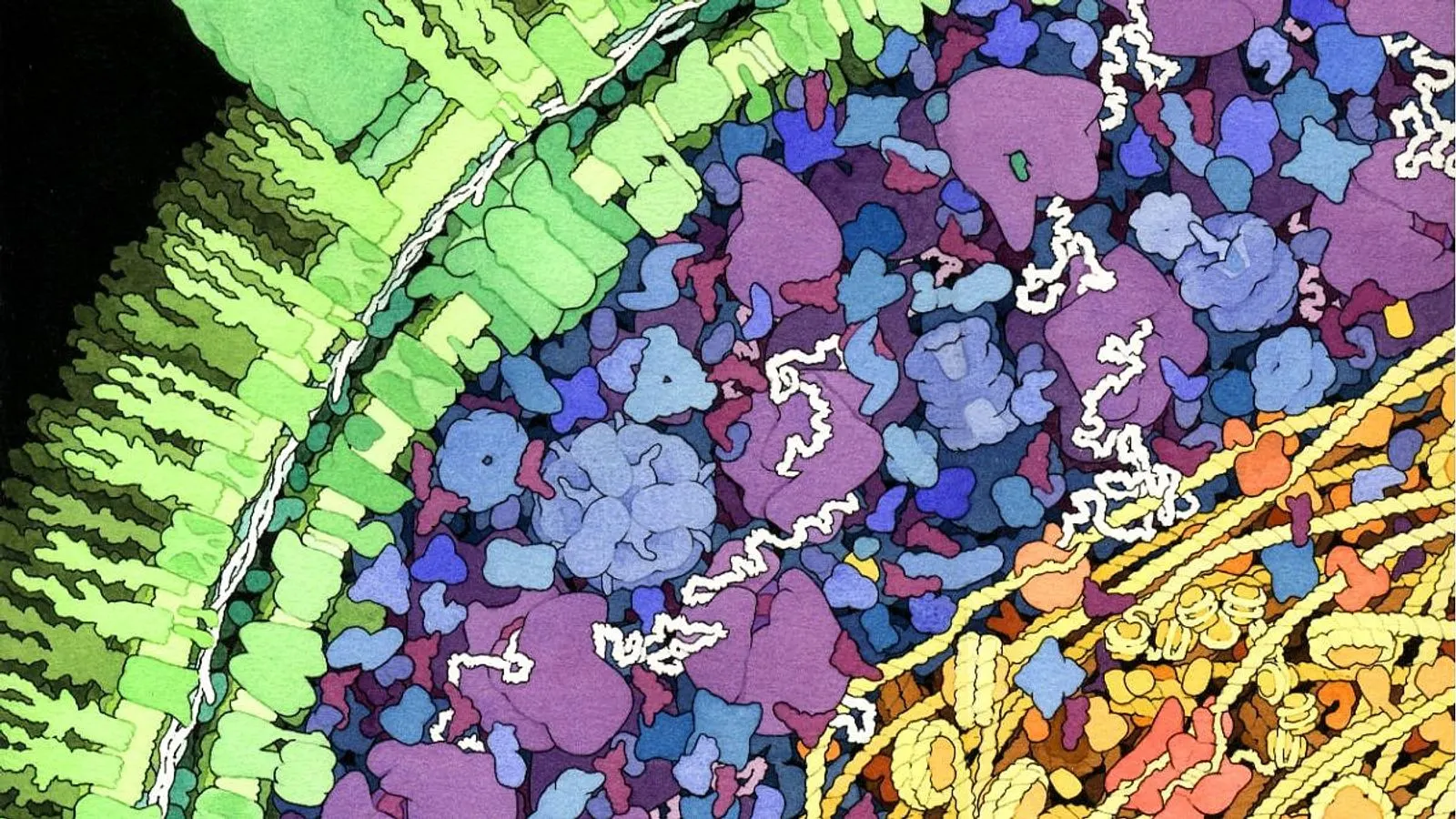 Stanford Scientists Discover Template-Free DNA-Synthesizing Enzyme