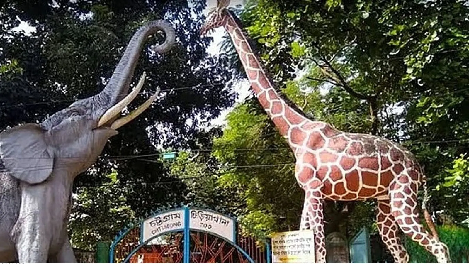 Students Enter Chittagong Zoo Free by Collecting Plastic Waste