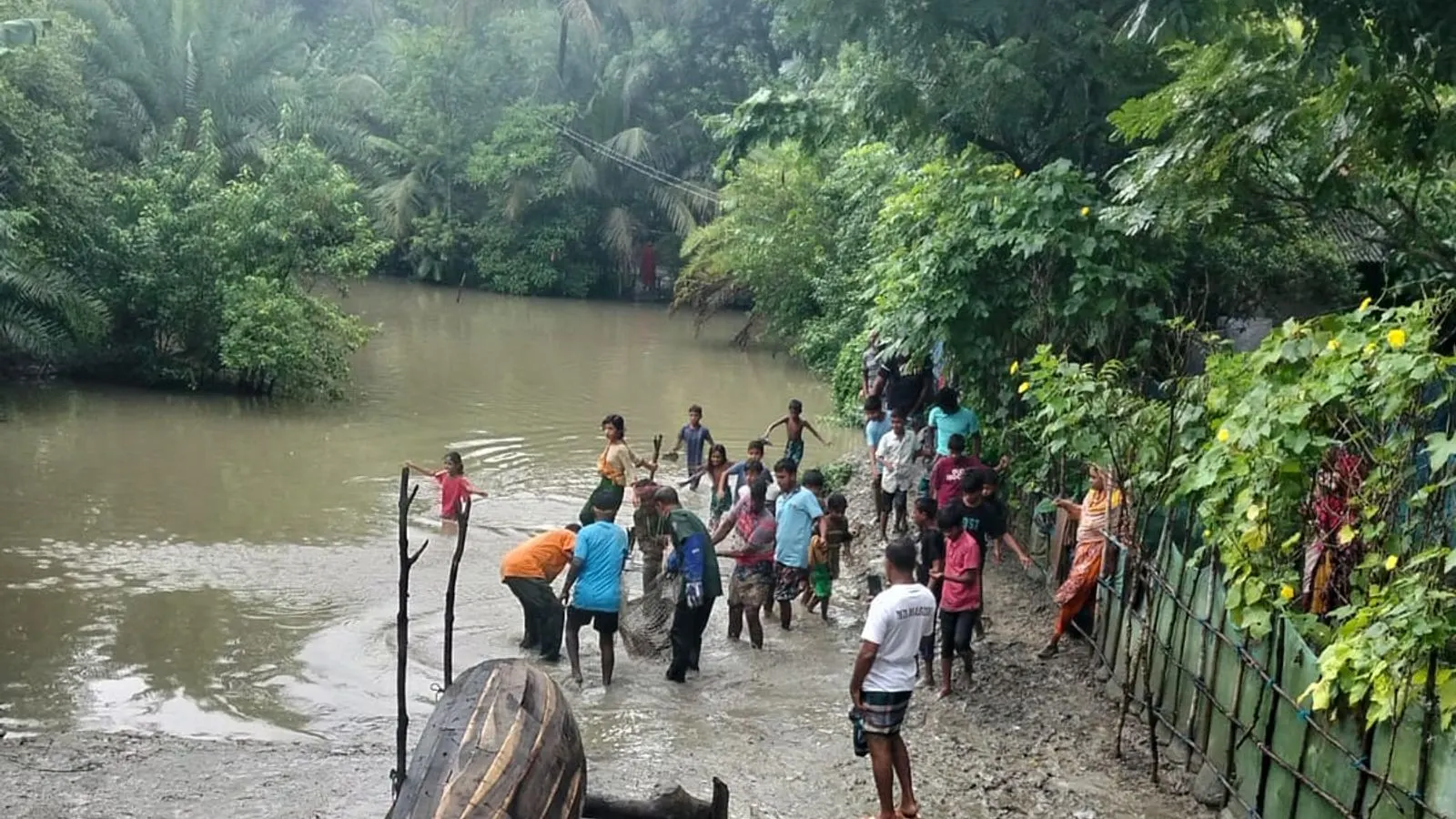 11-Foot Python Rescued From Duck Coop in Satkhira and Released