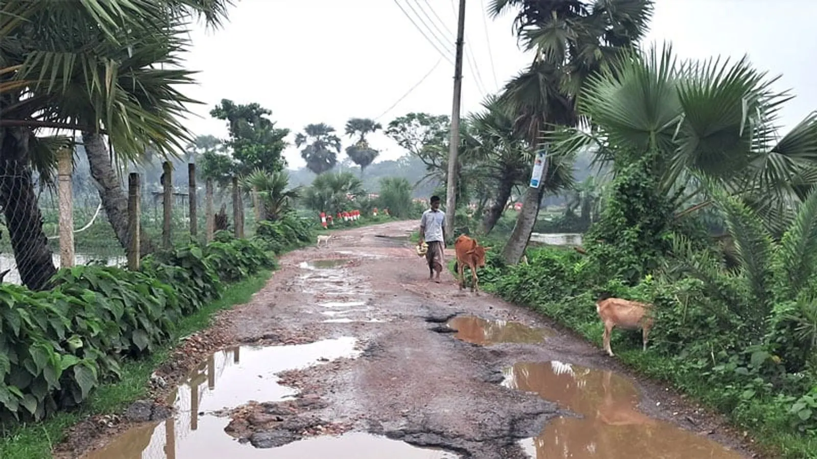 Trishal-Kanihari Road Remains Unrepaired for Eight Years