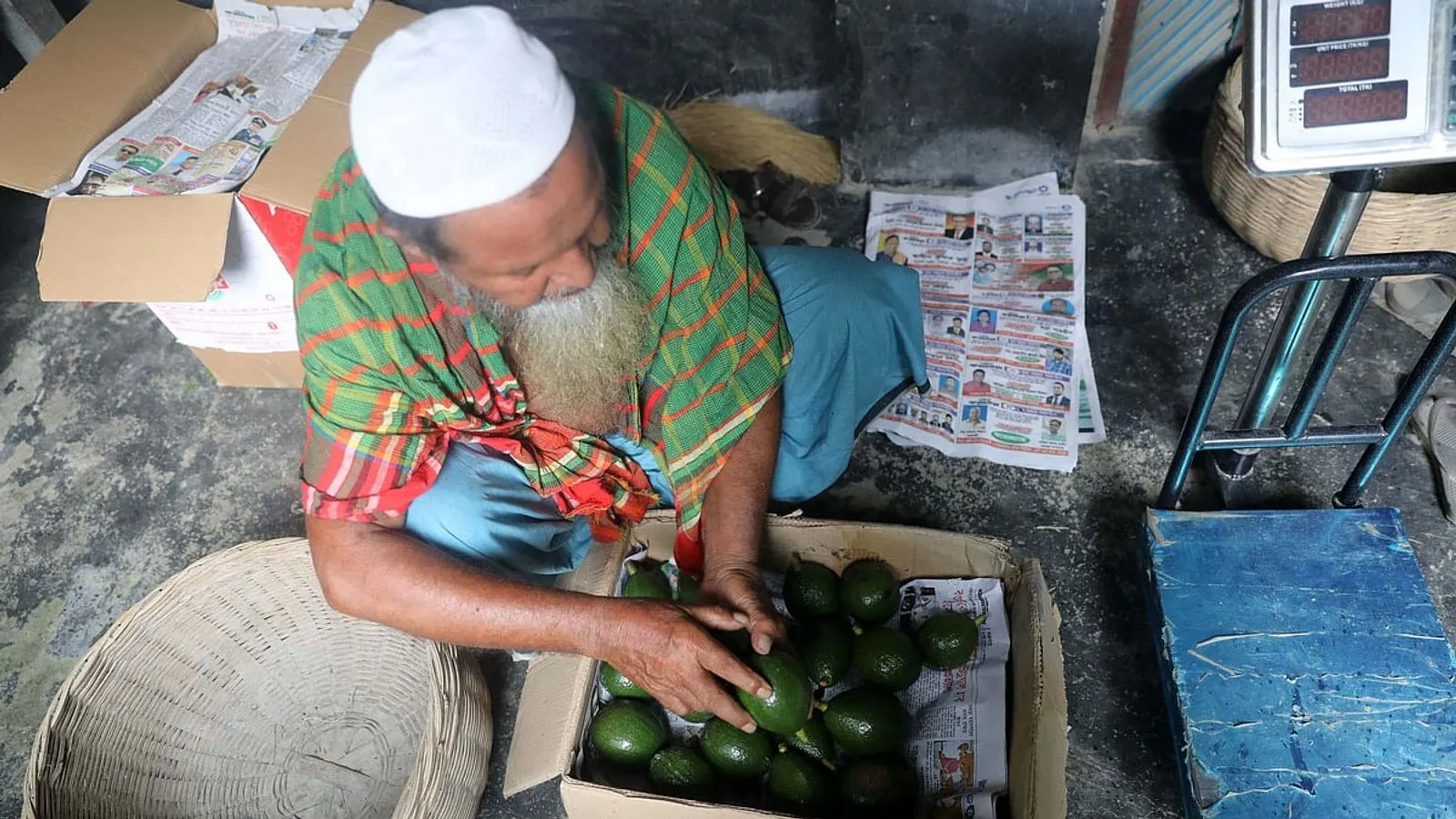 বগুড়ার শিবগঞ্জে বিদেশি সবজির চাষ ও বিপণন