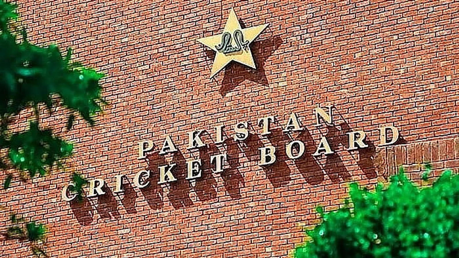 Pakistan Cricket Turmoil: Eleven Coaches Replaced in Five Years