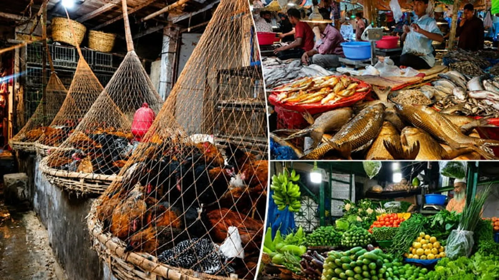 Dhaka Markets See Vegetable Price Dips While Meat and Fish Remain Steady