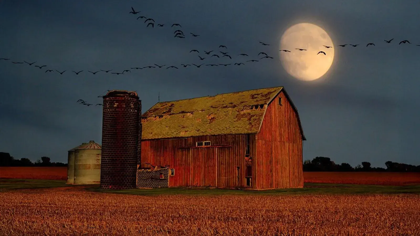 Venus Peak Brilliance and Harvest Moon Lead September Astronomy