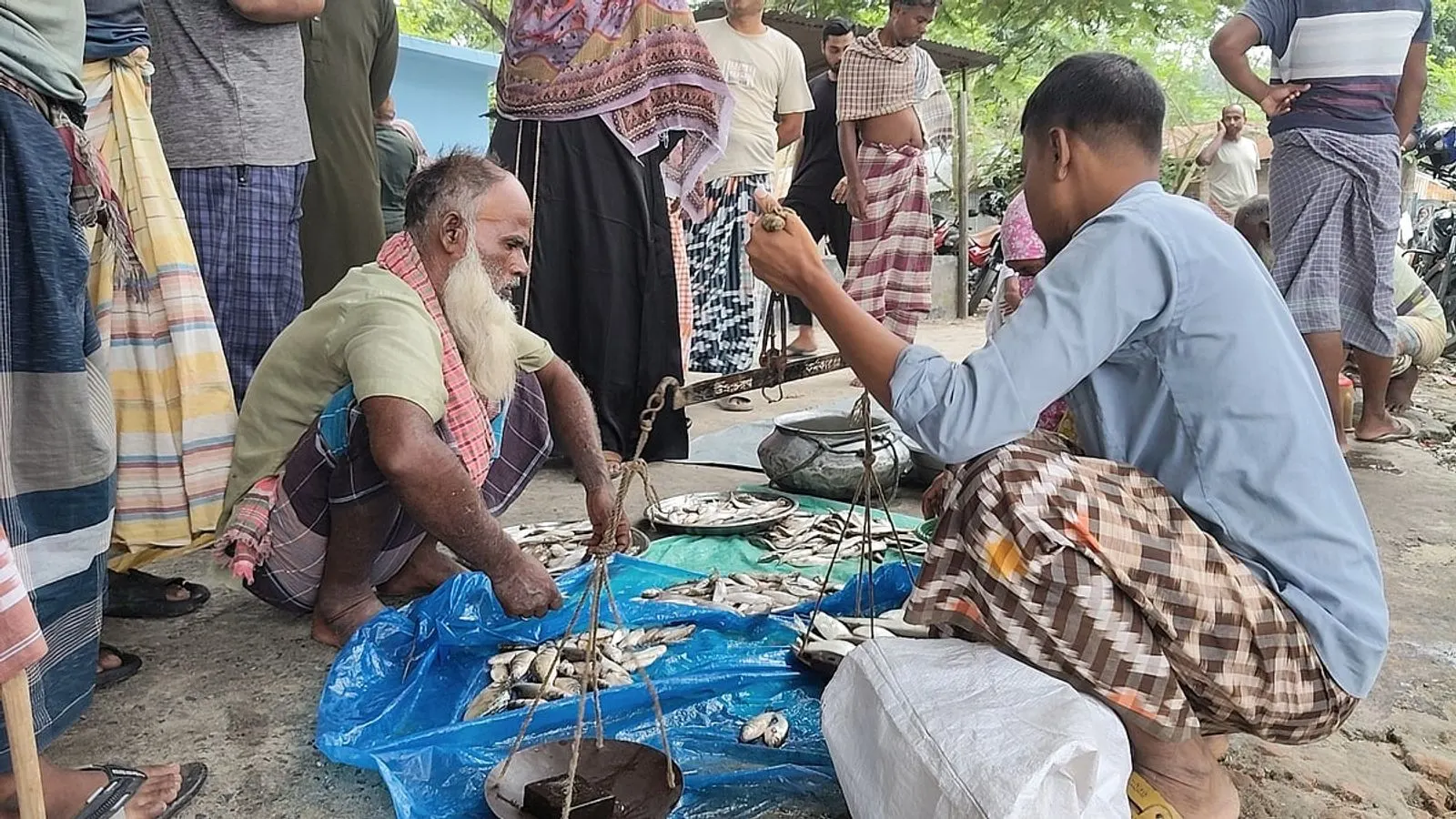 Padma River fish market thrives in Rajshahi's Charghat