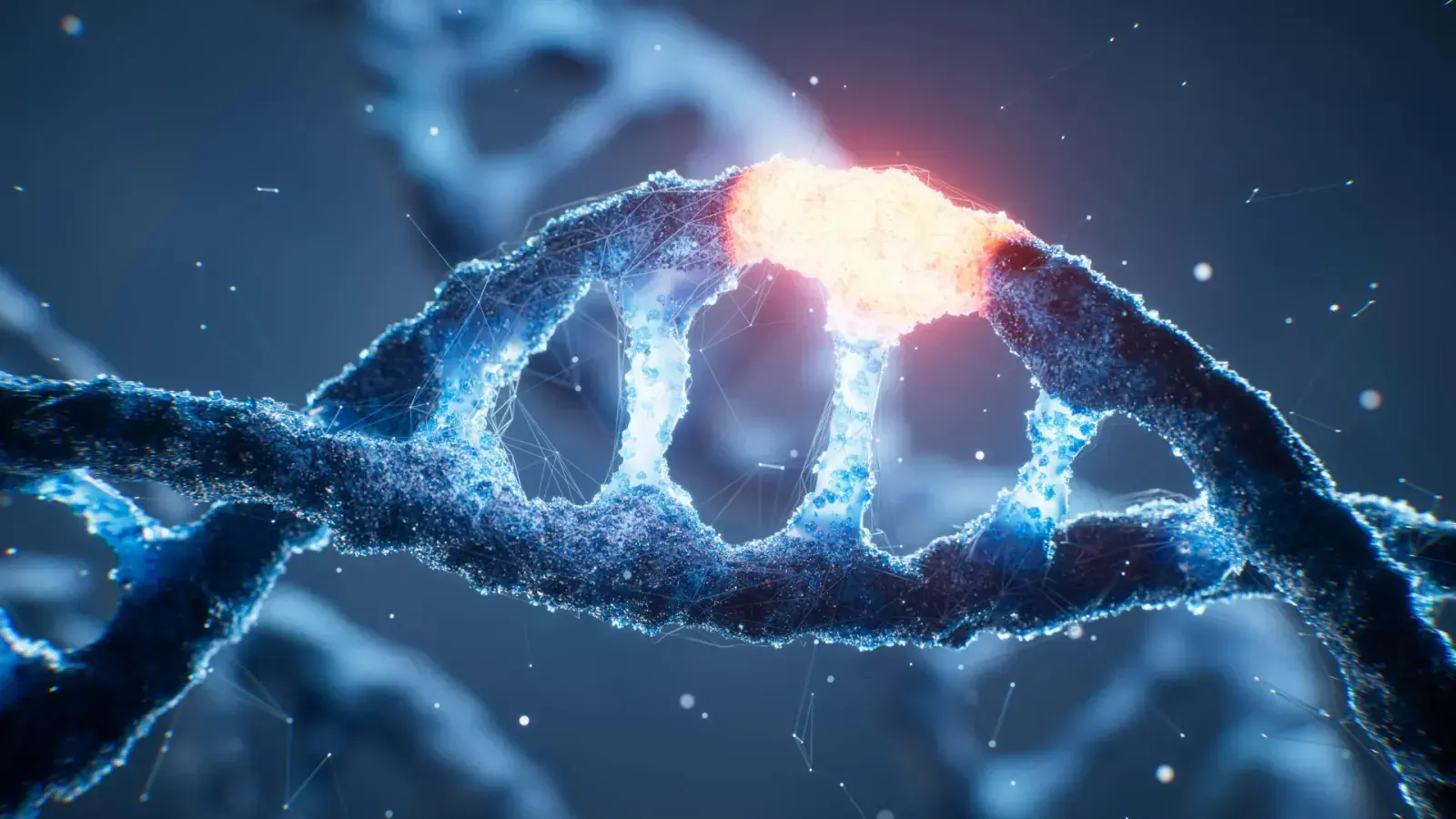 UC San Diego Researchers Transcribe Eight-Letter Genetic Alphabet