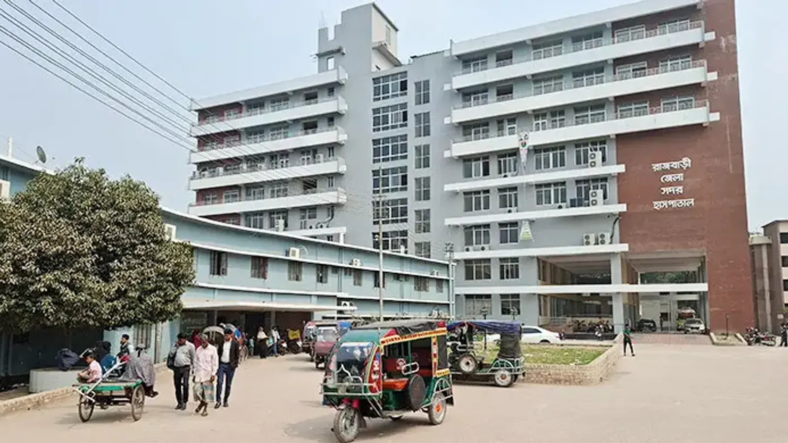 Rajbari Records 15 New Dengue Hospitalizations in Past 24 Hours
