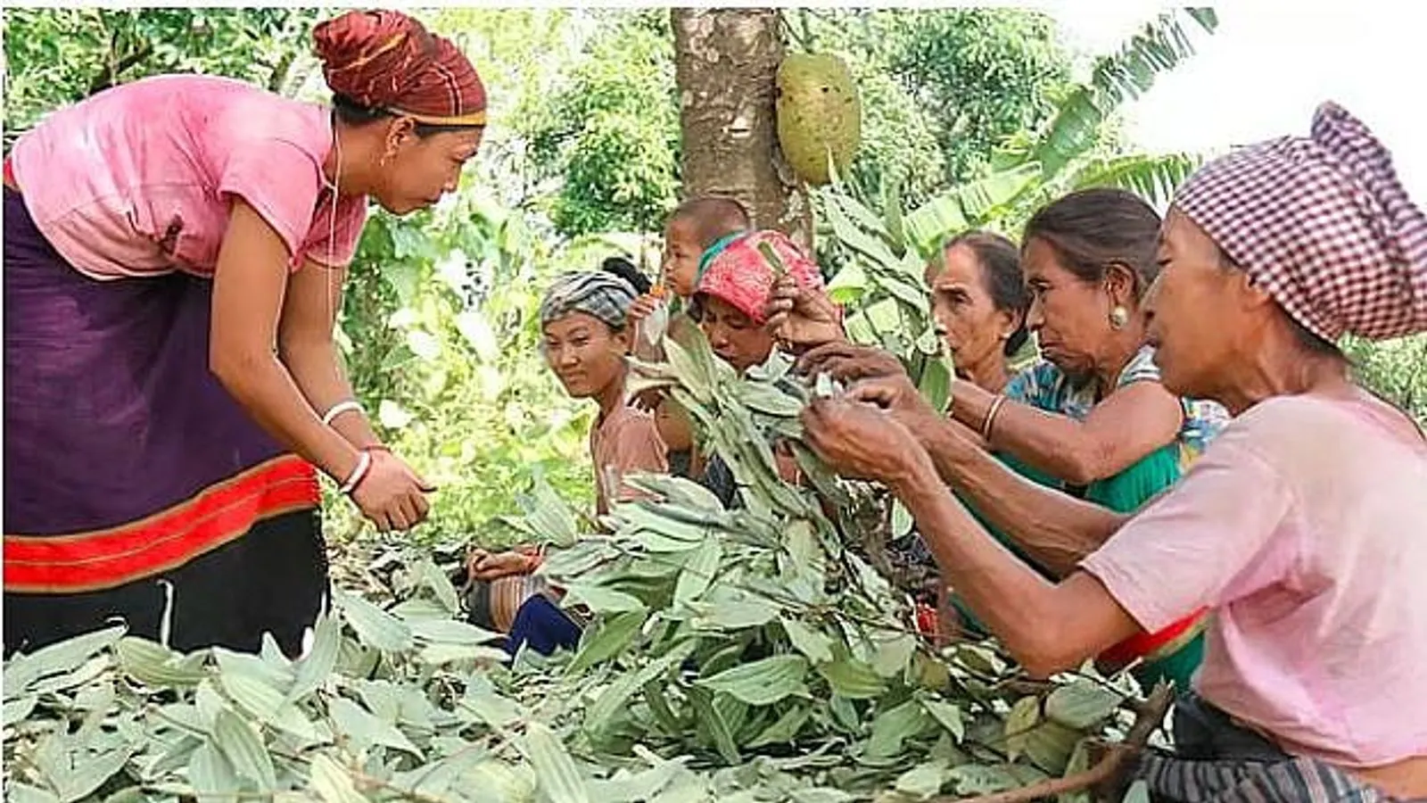 UN Observes First International Day of Indigenous Women and Girls on Sept 5