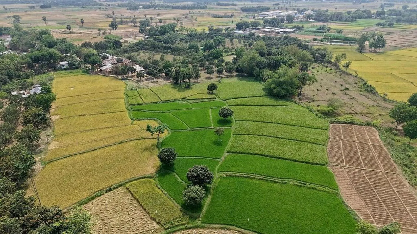 উত্তরাধিকার সূত্রে পাওয়া জমির নামজারিতে নতুন নিয়ম জারি