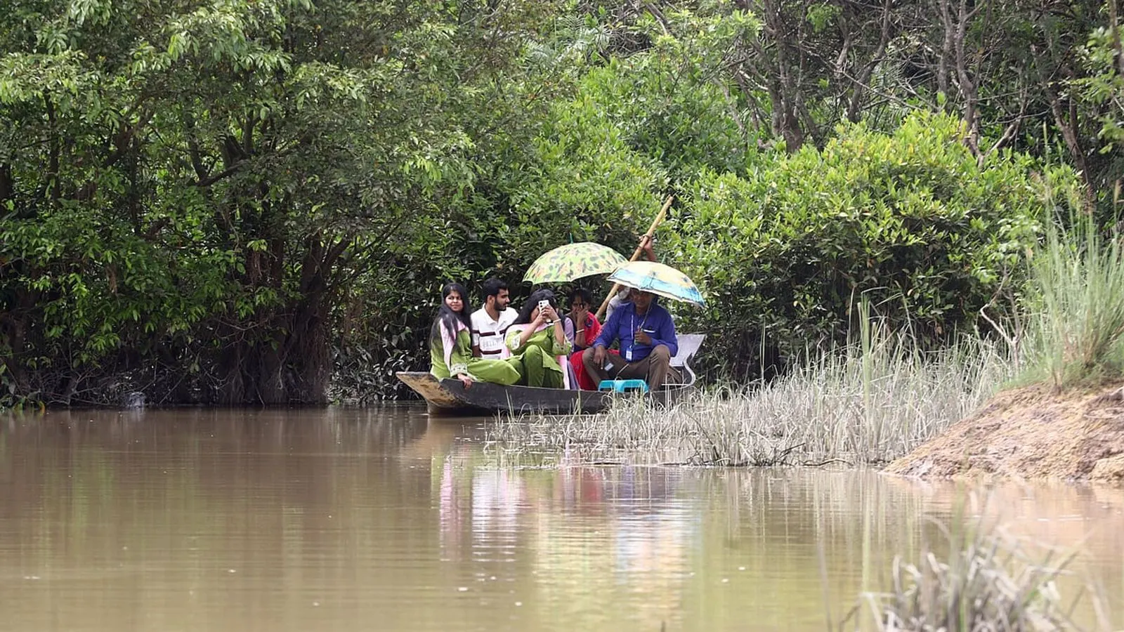 Ratargul Swamp Forest in Gowainghat Draws Crowds During Autumn