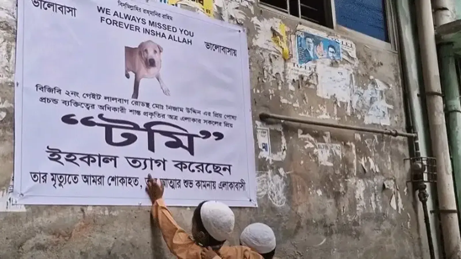Old Dhaka Mourns Beloved Stray Dog Tomi After Decade-Long Life