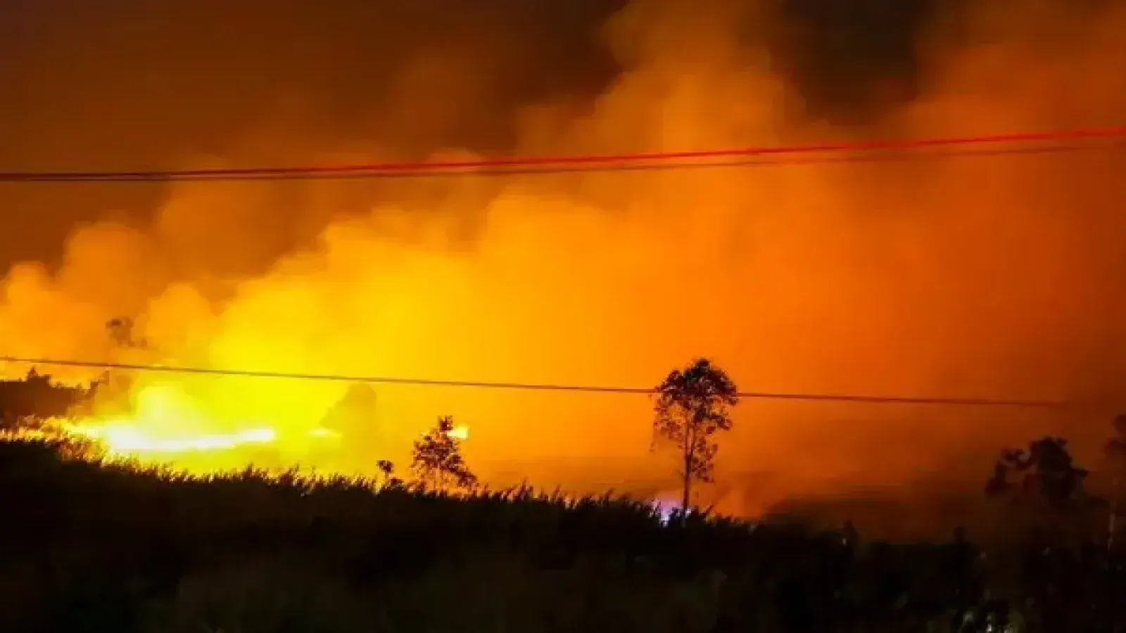 Severe Wildfires and Carbon Emissions Strike Indonesia's Borneo