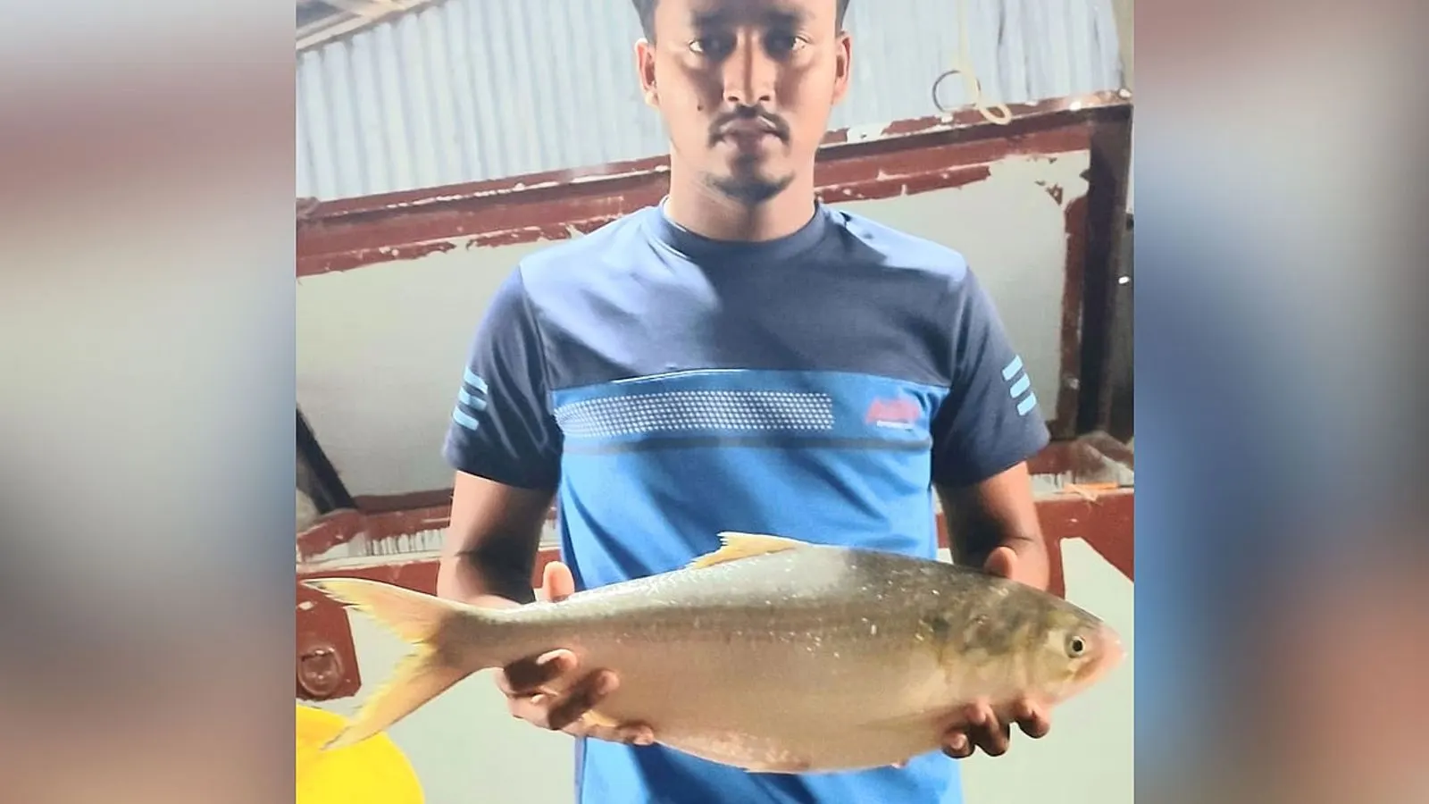 Rare 8kg Black Datina and 2.5kg Hilsa Sold in Coastal Markets