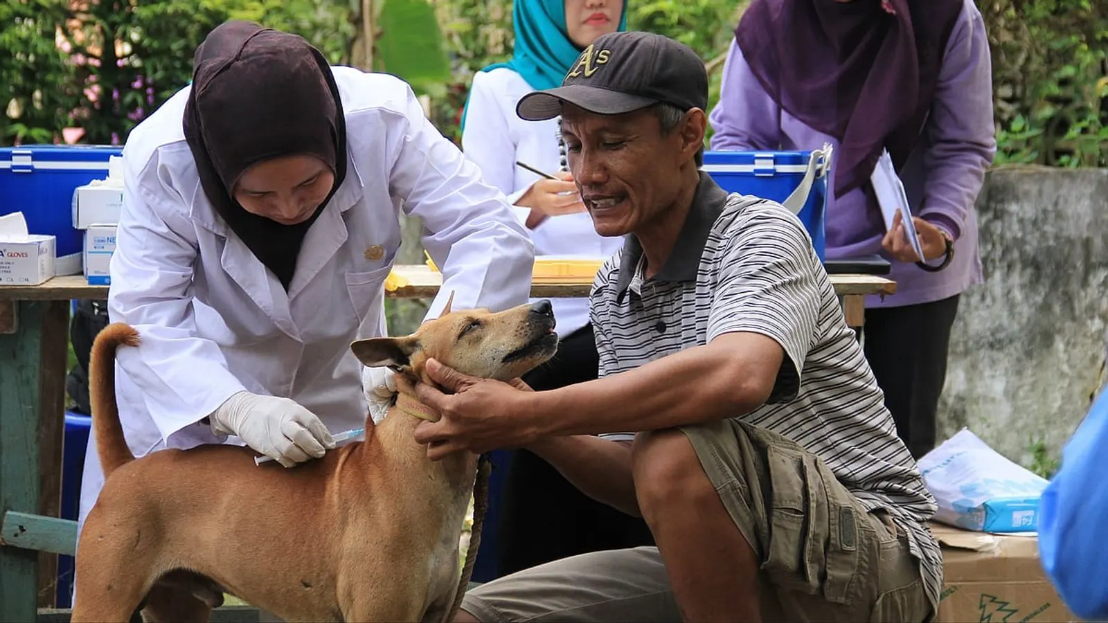WHO Recognizes Bhutan for Eliminating Dog-Mediated Rabies