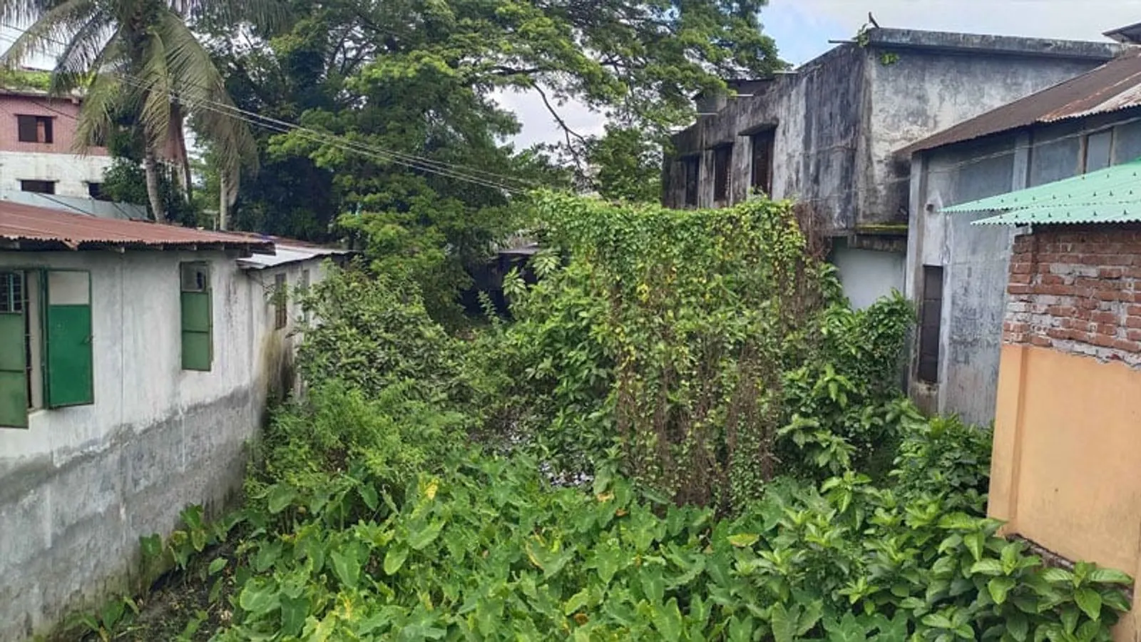 Pirtola Canal in Dumki Faces Severe Encroachment and Pollution