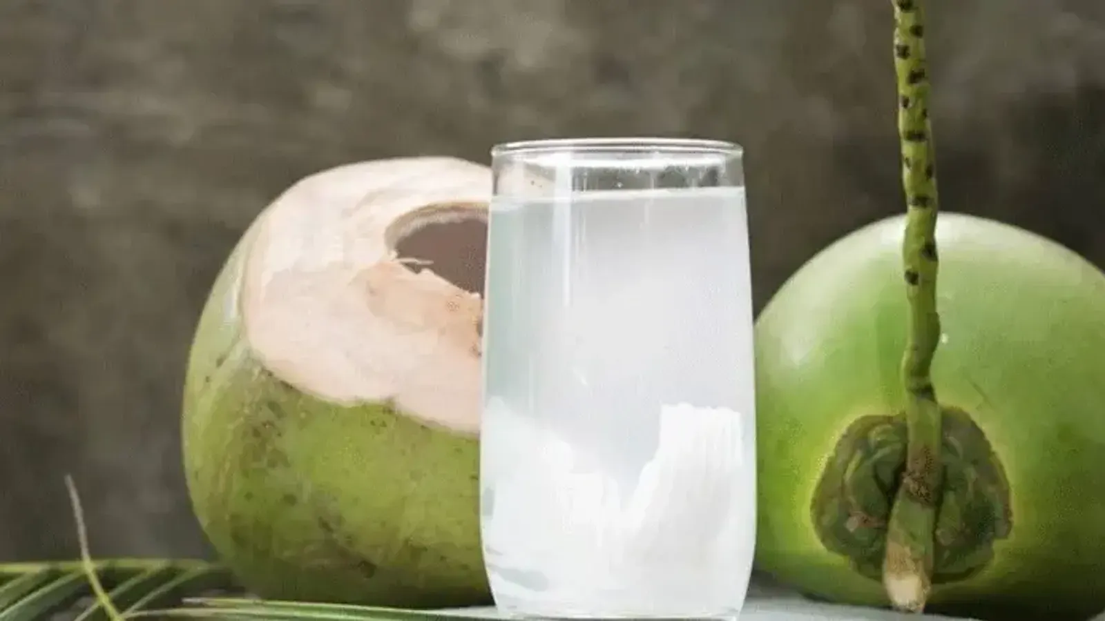 ডেঙ্গু চিকিৎসায় ডাবের পানি ও তরল খাওয়ার সঠিক নিয়ম