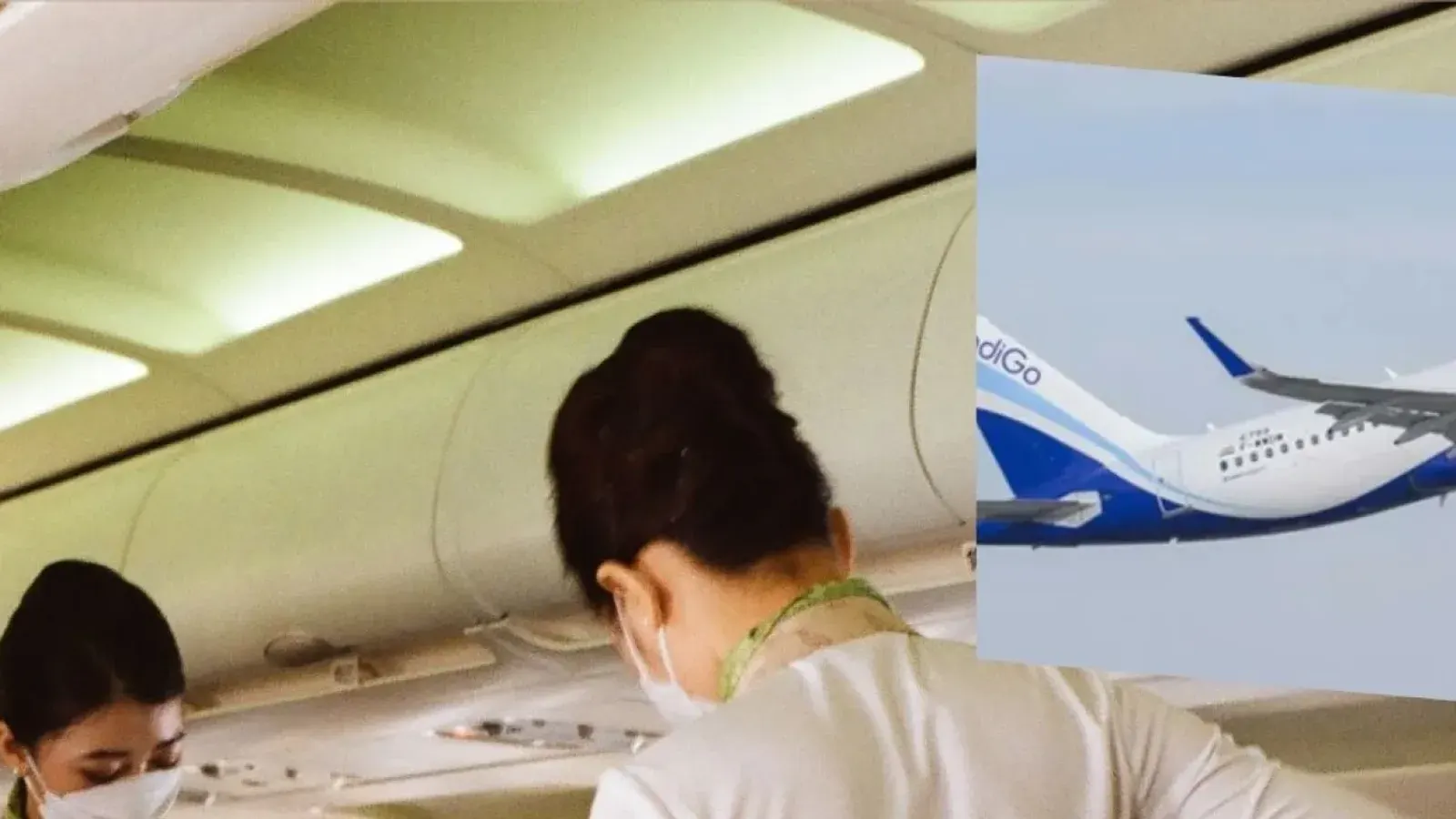 Indigo Cabin Crew Salaries and Career Path Revealed in India