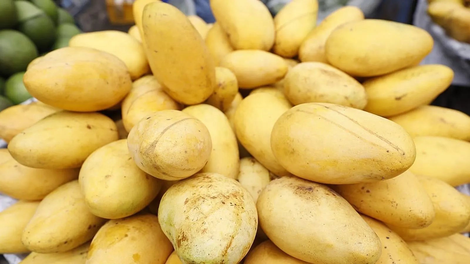 Katimon Mangoes Flood Dhaka Markets from Footpaths to Elite Shops