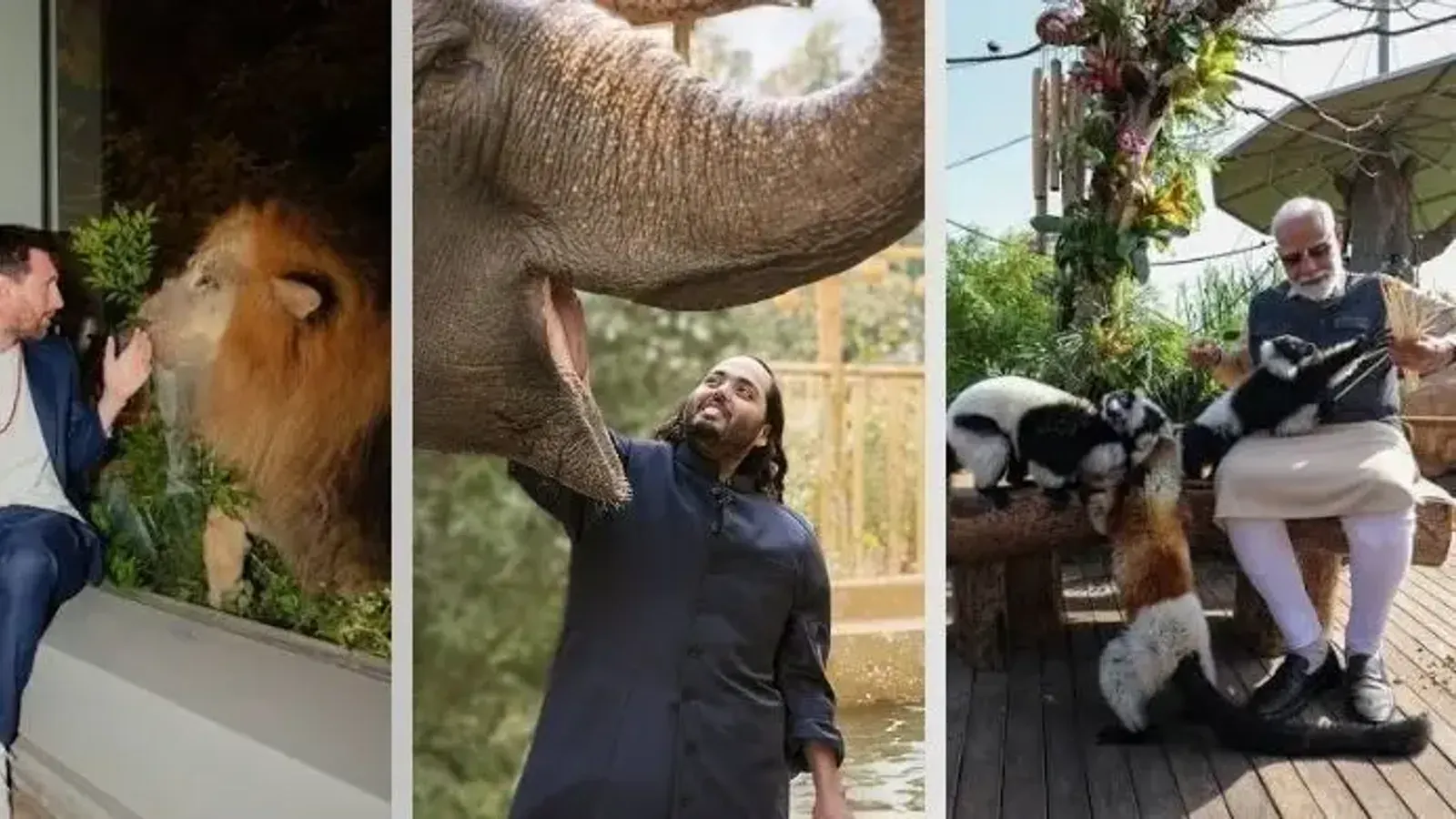 Anant Ambani's Vantara Wildlife Sanctuary Expands in Jamnagar
